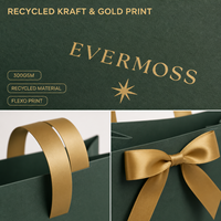 Sac en papier kraft personnalisé Ccpack avec logo, matériau recyclé, poignée Flexiloop, impression dorée pour emballage cadeau de Noël, vente en gros