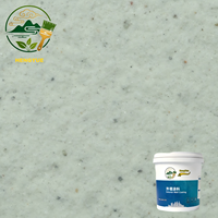 Peinture acrylique HengYue anti-moisissure et résistante aux UV, à base d'eau, effet pierre naturelle, revêtement mural extérieur granit mat longue durée 20L pour