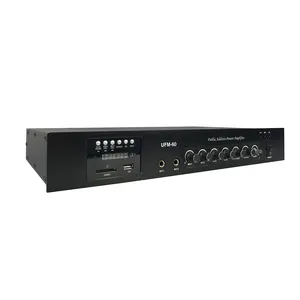 Professional audio system hybrid combo amplifier for public address system