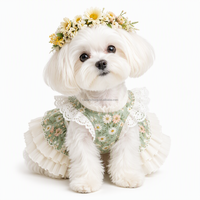 Vêtements personnalisés pour chiens et chats, robe à volants en dentelle à imprimé floral, ensemble harnais couronne de fleurs, vêtements pour chiots et chatons, vente en gros OEM