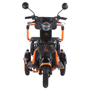 Tricycles électriques KUGOO T1, tricycle électrique pour personnes âgées, autonomie de 50 km, <span class=keywords><strong>scooter</strong></span> de mobilité, motos, scooters, <span class=keywords><strong>scooter</strong></span> électrique à <span class=keywords><strong>3</strong></span> <span class=keywords><strong>roues</strong></span> - Product Image 5