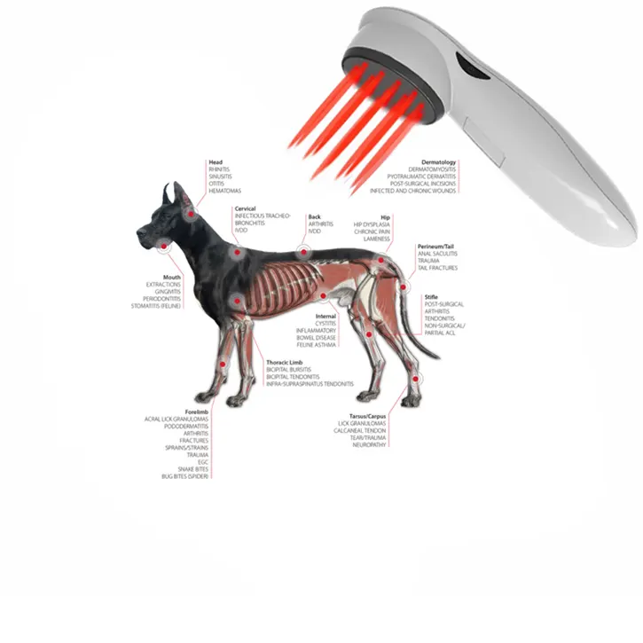 ペット用コールドレーザー療法獣医装置鎮痛用赤色光療法装置犬用家庭用光療法猫馬