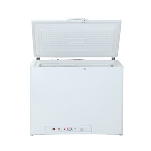 Congelador Horizontal de Gas de 200L con Apertura Superior y Puerta Única Profunda - Product Image 1