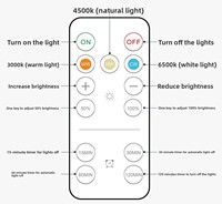 Ampoule LED rechargeable en forme de spirale avec télécommande, gradation de la luminosité, CCT 3000K-6000K, 3.7V, pour jardin, avec charge USB