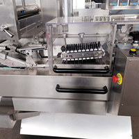 Machine à emballer horizontale automatique de pâtisserie de boulangerie Brioche Brioches Machine à emballer de gâteau