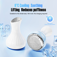 Herramientas para el Cuidado de la Piel, Palitos Criogénicos Blancos, Rodillo de Hielo de Acero Inoxidable para Lifting Facial, Gua Sha en Forma de Corazón, Esferas de Hielo para la Cara