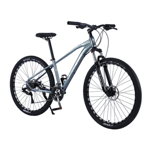 Vélo VTT en Alliage de 29 Pouces Bonne Qualité Vente Chaude Chinois pour Homme – Expédition Pakistan Phillips Népal Ghana Turquie - Product Image 4