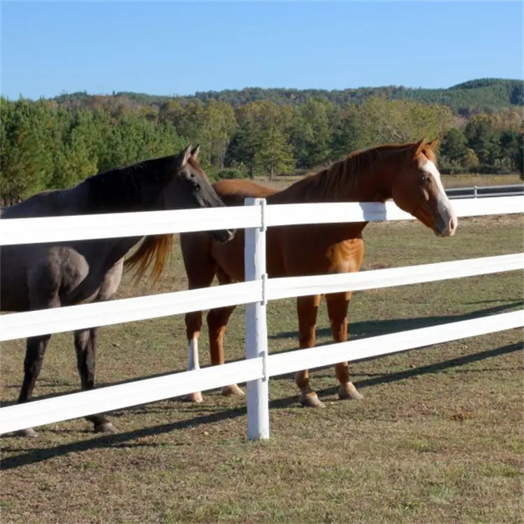 cattle vinyl 3 rails PVC 3 rail horse paddock farm fence post ranch white