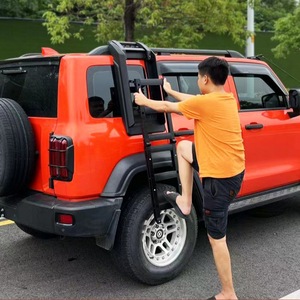 Cho cung cấp hạn chế cho bể 300 bên thang Kit nhôm xây dựng để dễ dàng truy cập mái nhà và nâng cao tính thẩm mỹ - Product Image 5