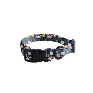 Köpek Tasması 6 Parçalı Set Spor Moda Rahat Nefes Alabilen Evcil Hayvan Malzemeleri - Product Image 6