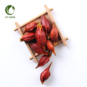 Semillas de Gardenia naturales, frutos secos - Product Image 5