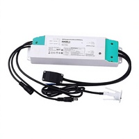 Luz de techo LED DE EMERGENCIA LiFePO4 con lente de desarrollo propio CE CB SAA AS2293