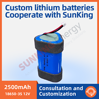 Batterie au lithium rechargeable SUNKING de qualité A, 12V 2500mAh, 500 cycles, à décharge élevée, pour pistolet de massage et gonfleur de voiture – Vente directe usine