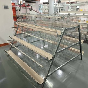 Lồng gà đẻ trứng, lồng thu trứng, 120 con, chuồng gà đẻ trứng cho gà mái, chăn nuôi gia cầm - Product Image 6