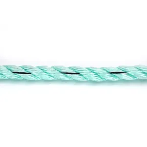 绿色，带2根蓝色丹林绳3股绞绳，用于钓鱼