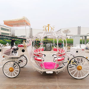 Chariot de princesse Cendrillon style citrouille, transport spécial pour mariages - Product Image 6