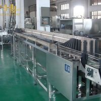 Sistema transportador de cadena de listones ajustable de acero inoxidable para descarga de botellas en líneas de codificación de fecha de botellas PET