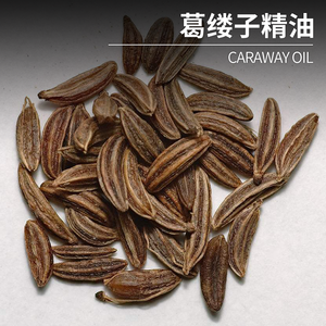 مورد زيت الكراواي بالجملة شركة تصنيع زيت الكراواي مصدرة Caraway بذور سعر الجملة - Product Image 4