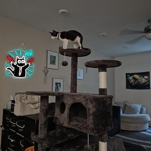 Enseigne au néon pour chat, lampe LED mignonne pour enfants, décoration murale pour bar, salle de jeux, café, fête pour animaux de compagnie, cadeau pour les <span class=keywords><strong>amoureux</strong></span> <span class=keywords><strong>des</strong></span> <span class=keywords><strong>chats</strong></span> - Product Image 4