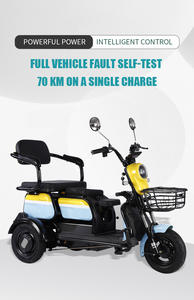 Новый Электрический трехколесный велосипед новый дизайн 3-колесный Электрический велосипед Грузовой зарядки 3-колесный электрический мотоцикл - Product Image 6