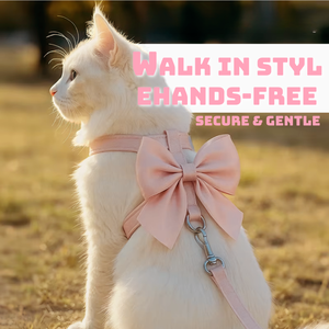 Verstellbare Luxus Nylon Hunde halsband Leine Set Großhandel Soft Glossy für mittlere Haustiere Mode Schnell verschluss für das tägliche Gehen - Product Image 4