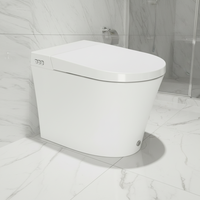 VIVI SS-06 Vente directe usine Sanitaire intelligent en céramique monobloc à poser au sol, allongé, à double chasse automatique