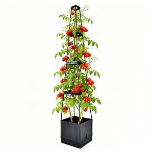 Bacs à <span class=keywords><strong>plantes</strong></span> surélevés avec treillis, jardinières pour tomates, <span class=keywords><strong>plantes</strong></span> <span class=keywords><strong>grimpantes</strong></span>, légumes, fleurs, <span class=keywords><strong>plantes</strong></span>, système d'arrosage automatique, cage à tomates - Product Image 1