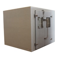 Congélateur compact personnalisable avec fenêtre en verre, 43 kg/m³, haute densité, conteneur ignifuge, stockage frigorifique, certifié CE/ETL