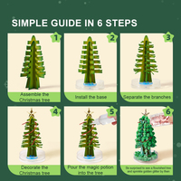 CT2216 Jouet éducatif classique : cultivez un sapin de Noël à la maison – Sapin de Noël magique Mideer