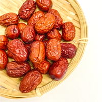 Pasokan Pabrik Kurma Merah Manis Berkualitas Tinggi Buah Kurma Kering untuk Camilan dan Teh