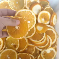 Commerciële aardappelchips snijmachine van roestvrij staal, geschikt voor bananen, plantains, groenten en fruit, voor voedselverwerking