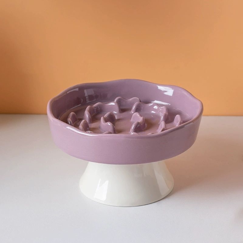 Violet Bracket model