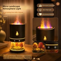Humidificateur de bureau USB avec lumière LED 7 couleurs, diffuseur d'arômes à simulation de flamme micro-paysagère, brumisateur pour aromathérapie à domicile