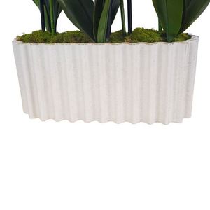 Oh Arts Fleurs Artificielles, Orchidées Artificielles, Phalaenopsis en Soie au Toucher Réel, Orchidées Près de Chez Moi, Fleur d'Orchidée - Product Image 5