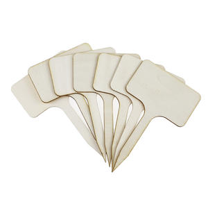 10 pièces/paquet, étiquettes <span class=keywords><strong>de</strong></span> plantes en <span class=keywords><strong>bois</strong></span> naturel, mini étiquettes en <span class=keywords><strong>bois</strong></span> pour la classification des légumes et des plantes en pot - Product Image 2