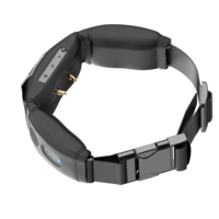 Collier caméra pour animaux de compagnie 2K à charge rapide 2025, clôture électrique, alarme, carte SIM 4G, GPS tracker, étanche, en plastique, sécurité pour animaux de compagnie, CCTV, 3000mAh