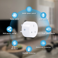 Bilihondim UK Mini Matter Over Thread Plug Dimmer 200W Contrôle Domotique Intelligent 1 Canal Télécommande Sans Fil Sortie 1A