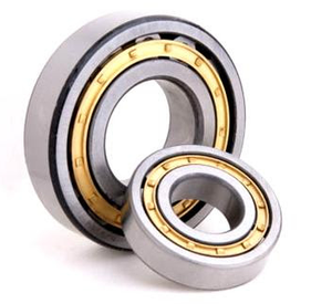 Roulement à rouleaux cylindriques à une rangée NU19/600M1 avec cage en laiton pour les usines d'impression et la lubrification à l'huile des machines agricoles - Product Image 3