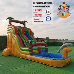 Scivolo d'Acqua Gonfiabile Commerciale <span class=keywords><strong>con</strong></span> <span class=keywords><strong>Piscina</strong></span> per Noleggio e Uso Domestico in Giardino - Product Image 1