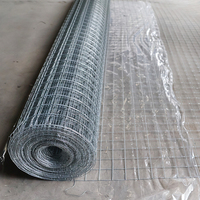 Rouleau de grillage soudé électrogalvanisé à maille plate pour clôture de jardin, protection agricole, découpe disponible