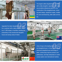 Maisheng Projet clé en main Abattoir porcin et usine de transformation de la viande Équipement d'abattoir Ligne d'abattage porcine