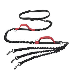 Entraînement 3 en 1 animaux de compagnie chiens en plein air Jogging marche course à l'élastique double <span class=keywords><strong>laisse</strong></span> avec sac de taille - Product Image 6