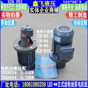 Conjunto de Motor y Bomba de Aceite para Engranajes Verticales LBZ-2.5 LBZ-4 LBZ-6 LBZ-10 YE28014 0.55KW - Product Image 2