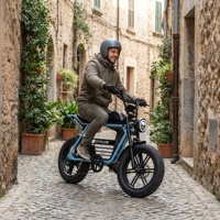 Vélo électrique rétro à pneus larges avec longue banquette, idéal pour la balade sur les pavés et les visites des quartiers historiques