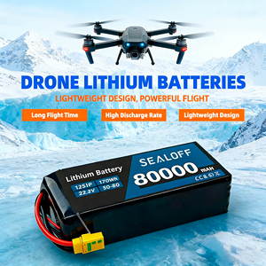 Baterai Drone FPV 6000mAh 10000mAh 30.8V 100C 8S HV LiPo, cocok untuk drone dan mobil RC FPV dengan pengiriman cepat. - Product Image 5