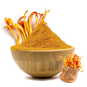 Estratto di <span class=keywords><strong>Cordyceps</strong></span> Militaris e <span class=keywords><strong>Cordyceps</strong></span> Sinensis in Polvere, 10% 30% 50% Polisaccaridi, Estratto Vegetale all'Ingrosso - Product Image 2