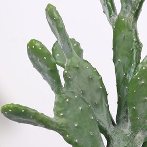 Cactus artificiel Dream Castle Leon de 30 cm à 100 cm, plante décorative d'intérieur sur pied - Product Image 2