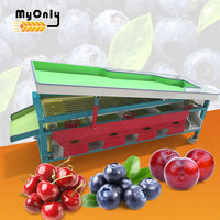 Mijn groente-fruit-noot sorteer- en transportbandmachine, sorteerder, reinigingsklasse 304 roestvrij staal
