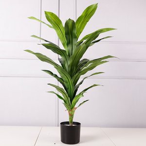 Plantes Artificielles d'<span class=keywords><strong>Intérieur</strong></span> en Plastique à Feuilles Persistantes avec Pots Arbres Artificiels faux Dracaena Fragrans - Product Image 4