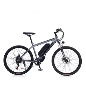 Mountain Electric Bicycle with 300W motor lithium battery Double disc brake Multiple Colors excellent e bike for adults